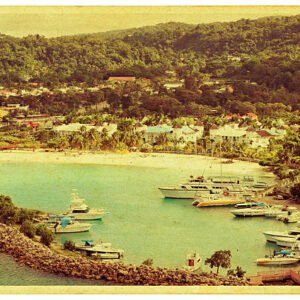 Attraction / Beach / City Tours