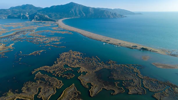 Dalyan and turtle beach is one of the rare beaches located between sea water and fresh water. Located in Ortaca Mugla