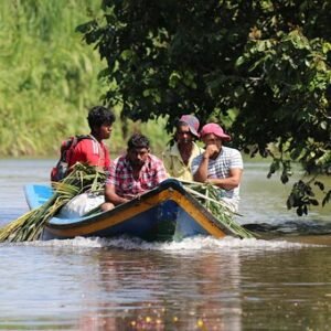 Most Popular Tours & Transfers